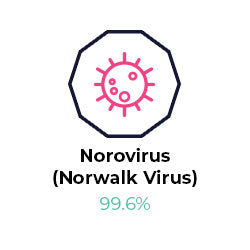 Graphic of Norovirus