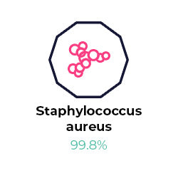 Graphic of Staphylococcus aureus virus and the air purifier effectiveness.